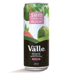 Néctar Del Valle Goiaba 290ml