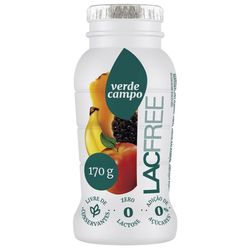 Iogurte Verde Campo Frutas Sem Lactose 170g