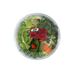 Salada Tropical Horta Guesser 250g