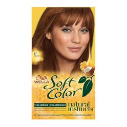 Coloração Para Cabelo Soft Color Chocolate 67