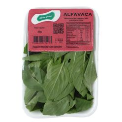 Alfavaca HORTA GUESSER 20g