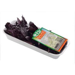 Manjericão Roxo GAUER Temperos 16g
