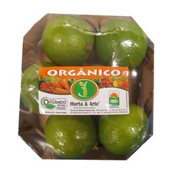 Limão Orgânico 500g