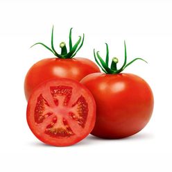 Tomate Kg