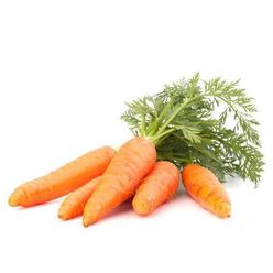 Cenoura orgânica RIO DE UNA 570g