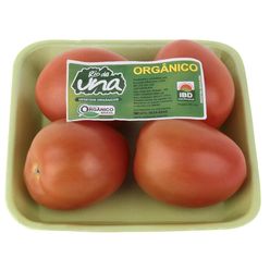 Tomate orgânico RIO DE UNA 400g