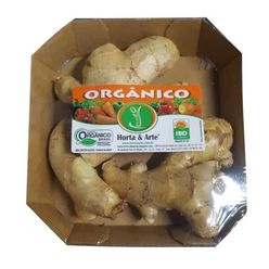 Gengibre Orgânico 150g