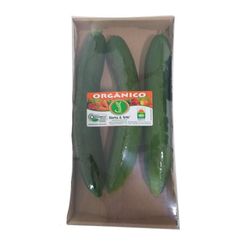 Pepino Japonês Orgânico 400g