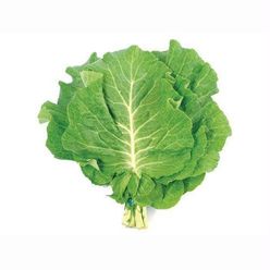 Couve Orgânica CHEIRO VERDE 150g