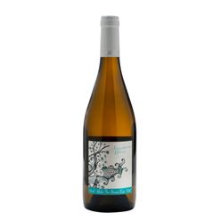 Vinho Branco Brasileiro VILLAGGIO GRANDO Sauvignon Blanc 750ml