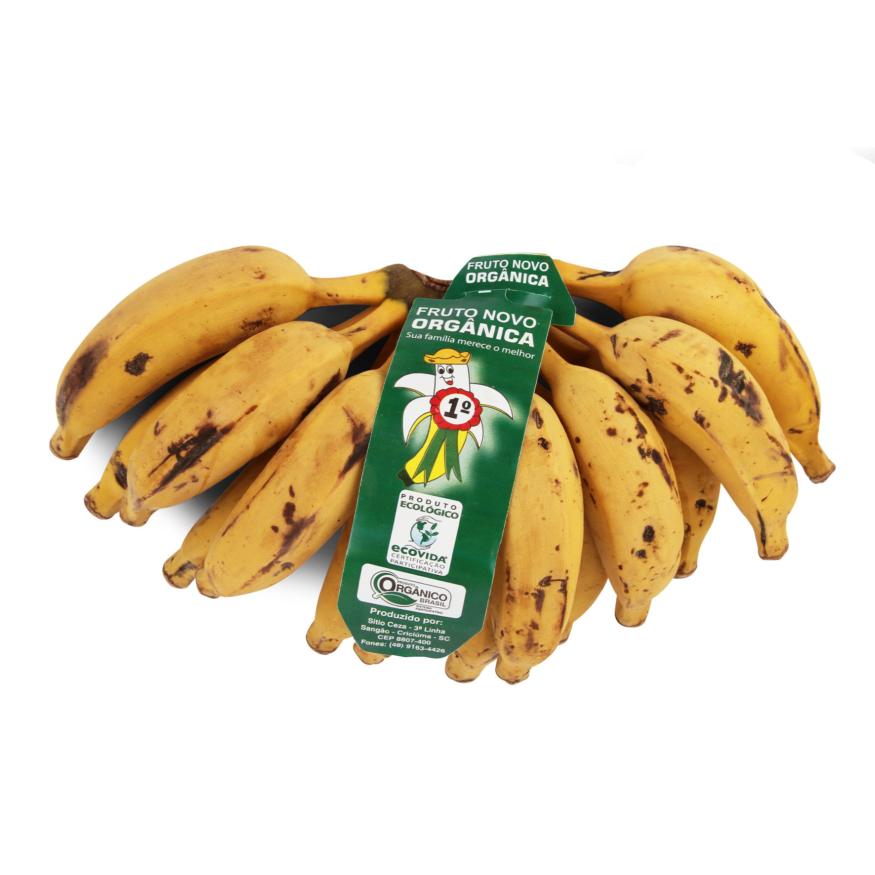 Banana CARLOS&WEBBER Orgânica Embalada 800g - Angeloni Super