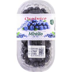 Mirtilo Orgânico PILATTI 100g