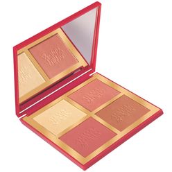 Paleta Multifuncional NIINA SECRETS Luminous 12g