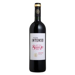 Vinho Tinto Brasileiro SALTON Intenso Suave 750ml