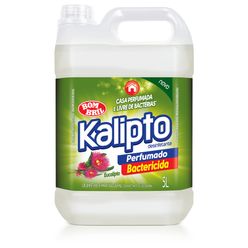 Desinfetante Perfumado Bactericida Eucalipto Kalipto Galão 5l