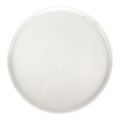 Prato Raso 28cm- A\CASA