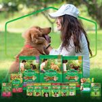 7891000042151---NESTLE®-PURINA®-DOG-CHOW®-Biscoitos-para-Caes-Adultos-Minis---Pequenos-Frango-500g---1.jpg