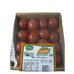 Tomate Cereja AMANHÃ Orgânico 300g