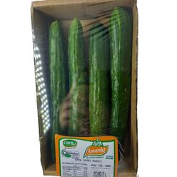 Pepino Japonês AMANHÃ Orgânico 500g