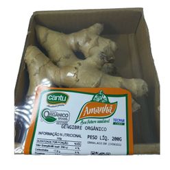 Gengibre AMANHÃ Orgânico 200g