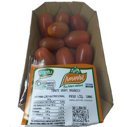 Tomate Grape AMANHÃ Orgânico 180g