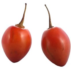 Tamarillo kg