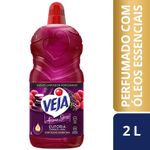 7891035000829-Limpador_Perfumado_Veja_Aroma_Sense_Euforia_2L_com_leos_essenciais-Veja-Limpador-Padr_o-_preset_h_-_preset_w_--1-