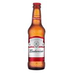 7891991014779-CervejaBUDWEISER330mlLongNeckPACKC-6-2.jpg