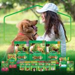 7891000244135-NESTLE®PURINA®DOGCHOW®ExtraLife®RacaoUmidaparaCaesAdultosMinis-PequenosCarne100g-1.jpg