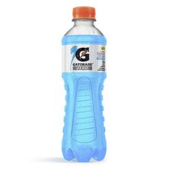 Bebida Isotônica GATORADE Atividades Diárias Frutas Silvestres 350ml