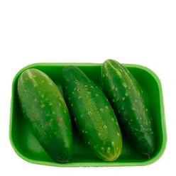 Pepino Caipira NOEMIA 400g