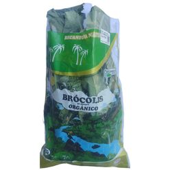 Brócolis RECANTO DA NATUREZA Orgânico 350g