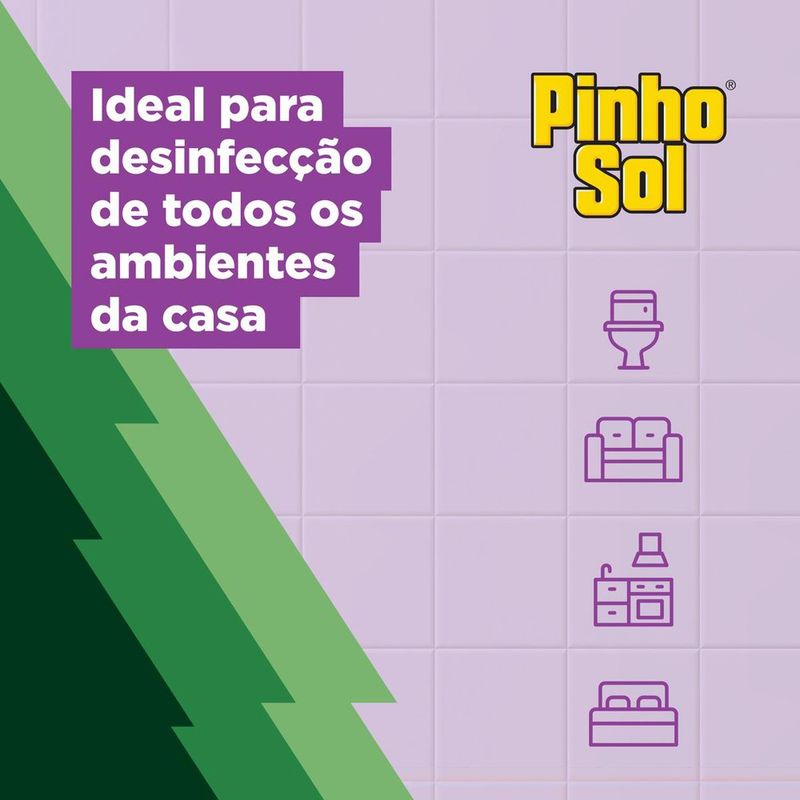 5061653_3.jpg