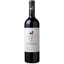 Vinho Chileno CANTOALBA Carmenere Garrafa 750ml