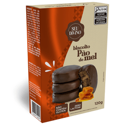 Biscoito SEU DIVINO Premium Pão de Mel sem Glúten e 0% Leite 120g