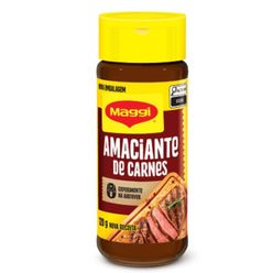 Tempero Amaciante de Carnes MAGGI Fondor 120g