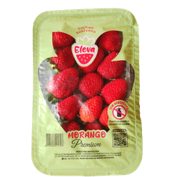 Morango ELEVA Premium 360g